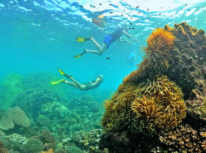 Phu Quoc Small-group Snorkeling to the Coral Jungle Reef - Robinson Island adds a useful pause