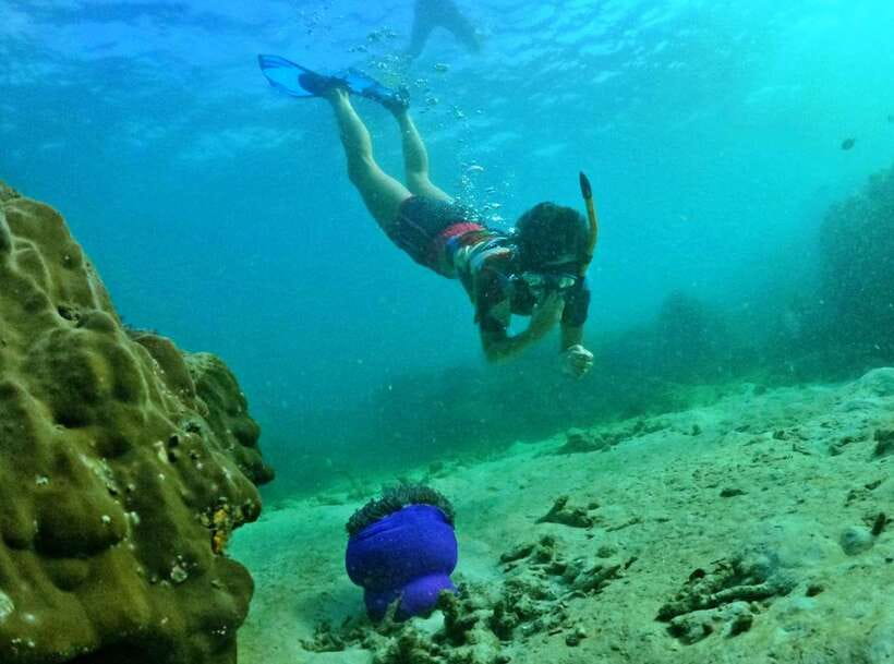 Phu Quoc Small-group Snorkeling to the Coral Jungle Reef - Half-Moon Bay keeps the finish gentle