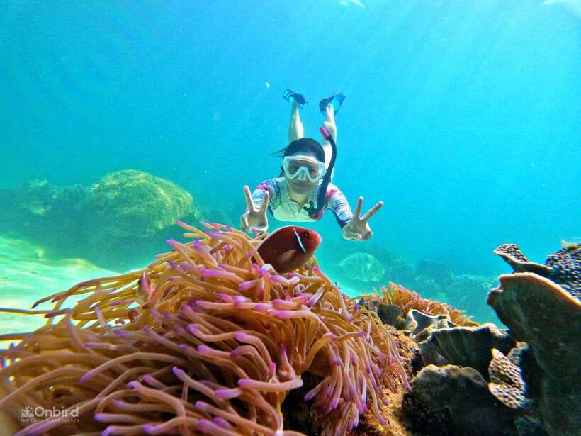 Phu Quoc: Speed Boat Tour 4 Islands - 2 Reefs Snorkeling - The best parts of the six-hour outing