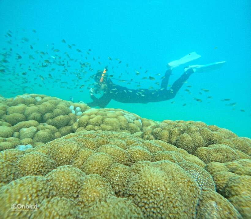 Phu Quoc: Speed Boat Tour 4 Islands - 2 Reefs Snorkeling - Why the small speedboat group matters