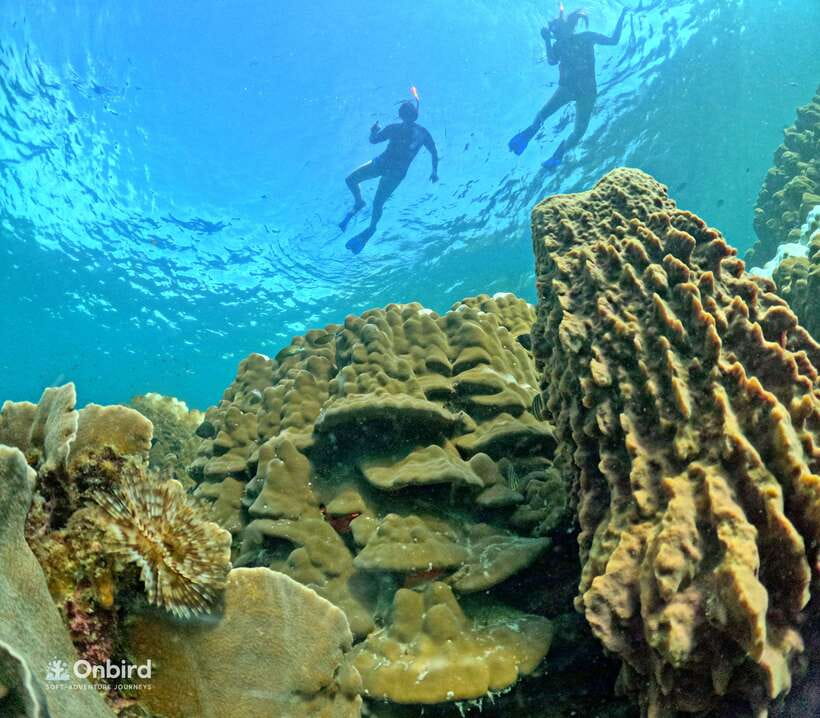 Phu Quoc: Speed Boat Tour 4 Islands - 2 Reefs Snorkeling - Equipment, instructors, and the safety culture