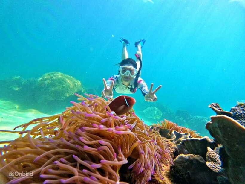 Phu Quoc: Speed Boat Tour 4 Islands - 2 Reefs Snorkeling - What $47 buys you in practical terms