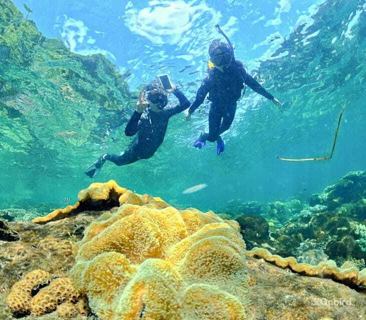 Phu Quoc Speedboat Pro Snorkeling: 4 Islands-2 Reefs & Meal - Equipment, instructors, and reef-friendly rules