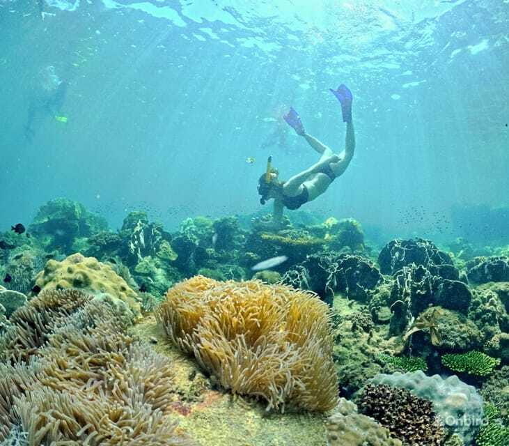 Phu Quoc Speedboat Pro Snorkeling: 4 Islands-2 Reefs & Meal - Transport, timing, and what to pack