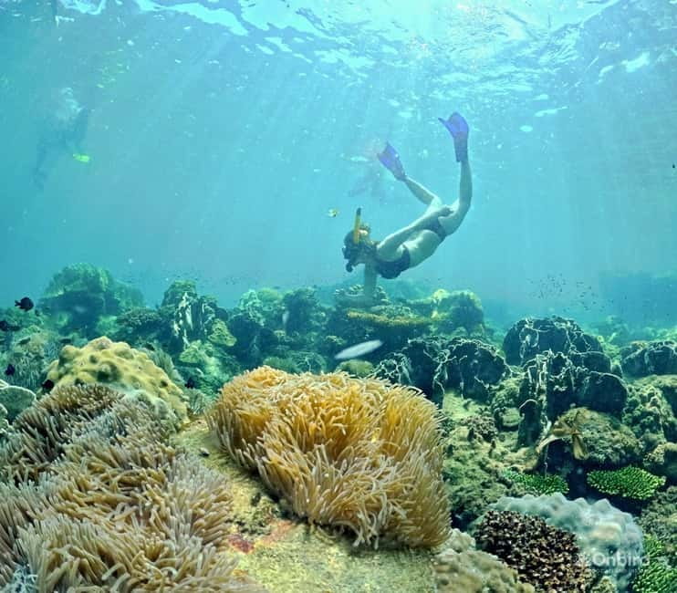 Phu Quoc Speedboat Pro Snorkeling: 4 Islands-2 Reefs & Meal - Stop 1: Calm water, safety, and equipment practice
