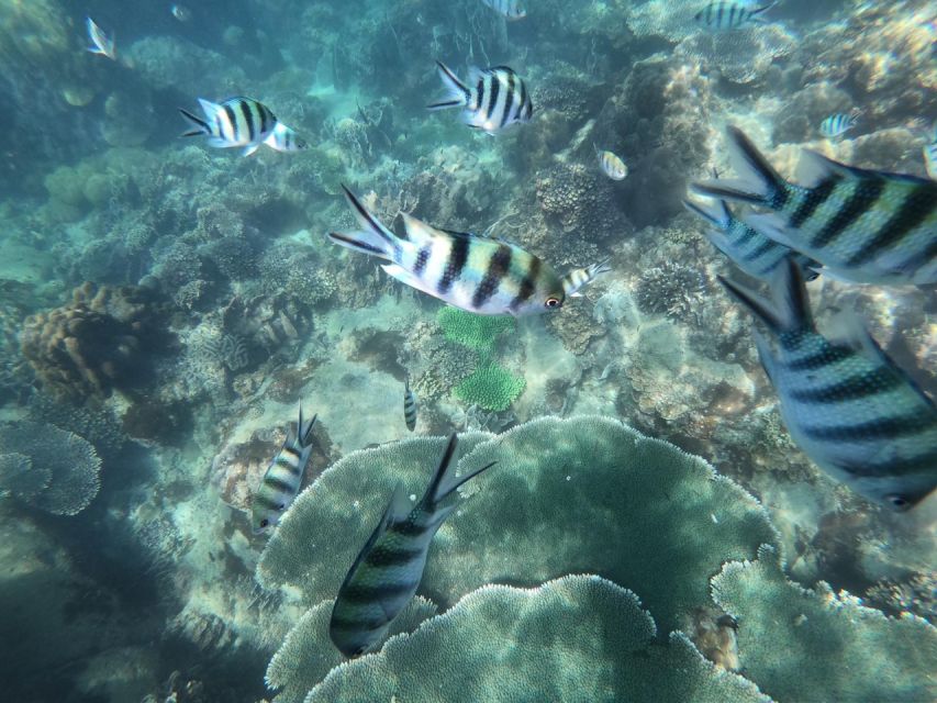 Phu Quoc: Speedboat Tour of 4 Islands with Snorkeling & BBQ - What can go wrong, and how to prepare