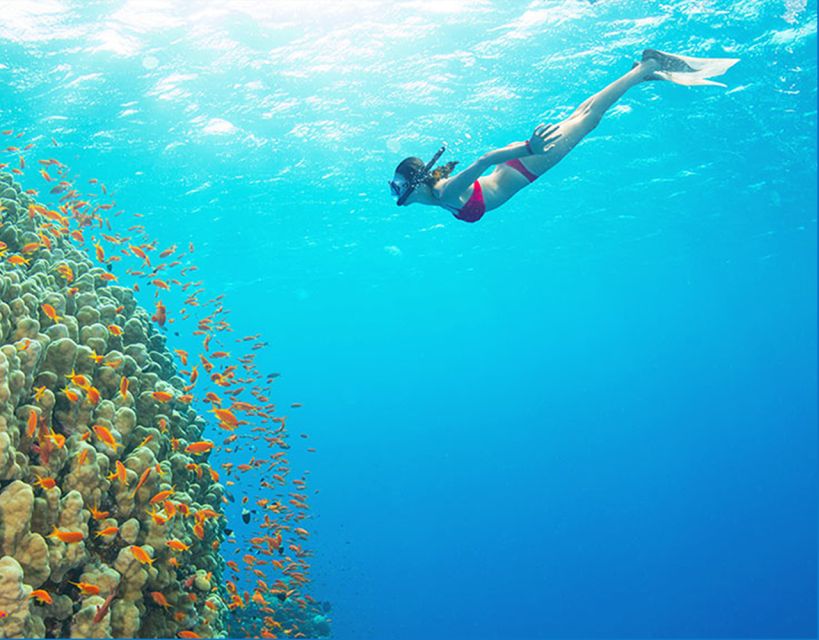 Phu Quoc: Speedboat Tour of 4 Islands with Snorkeling & BBQ - Kim Quy Island, the first hour in the water