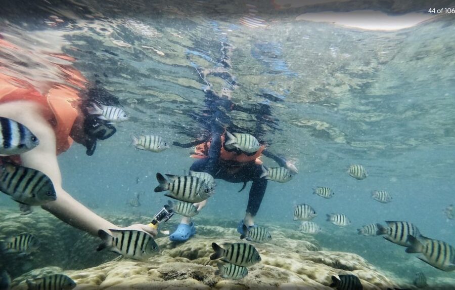 Phu Quoc: Speedboat Tour of 4 Islands with Snorkeling & BBQ - May Rut Ngoai or Gham Ghi for beach time