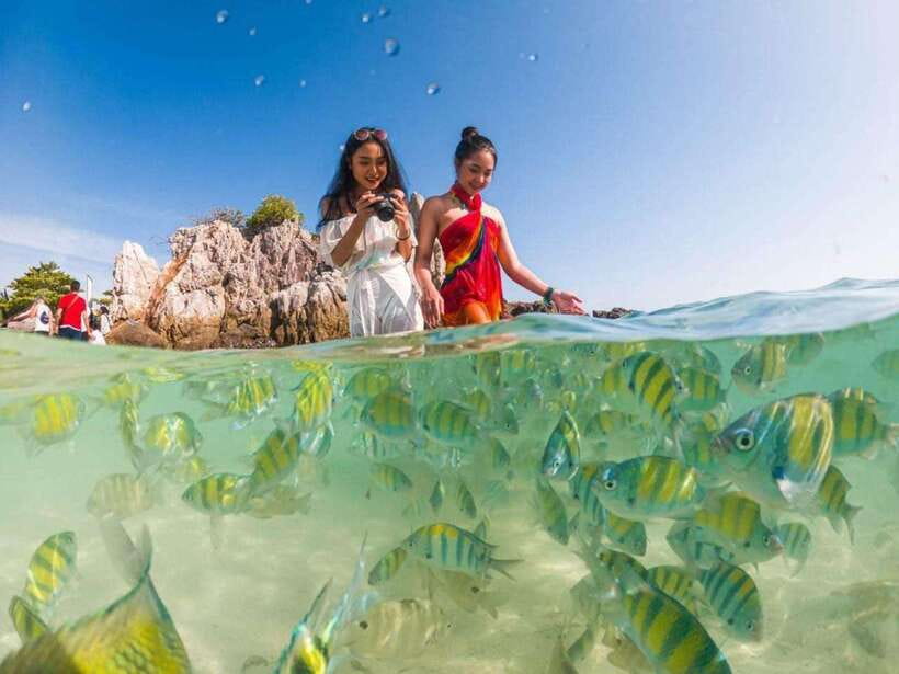 Phuket: 3 Khai Islands Snorkeling Tour - Khai Nai: cats, sand, and the easiest first stop