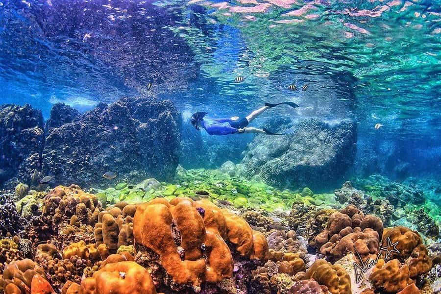 Phuket: Phi Phi & Bamboo Islands Snorkeling by Speedboat - Bamboo Island, the day’s best place to slow down
