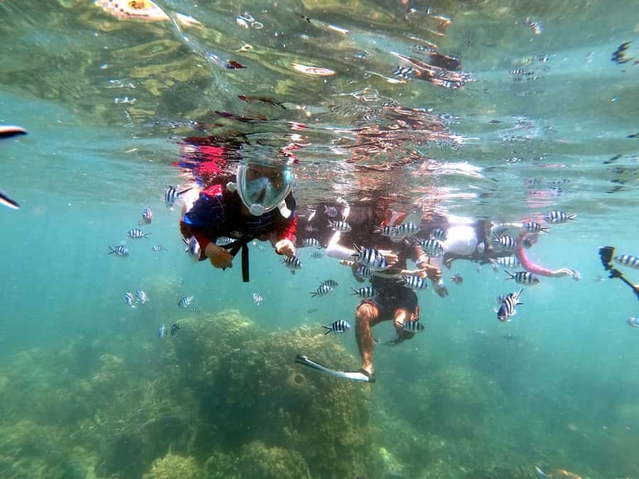 Phuket: Relaxed Phi Phi & Khai Islands Beach Snorkeling Tour - Why the later start changes the day