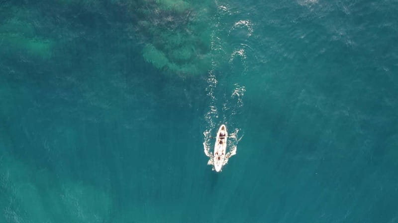Pico island: guided kayak and snorkel tour - Why this short kayak trip works well on Pico