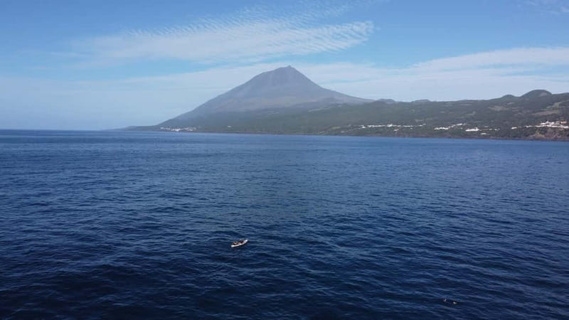 Pico island: guided kayak and snorkel tour - Paddling past the old whaling factory