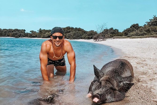Pig Island Experience By Speed Boat, Snorkeling, Kayaking Relaxing on the Beach - Why Pig Island is worth your time