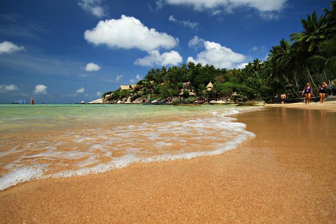 Pig Island Tour by Speedboat with Snorkeling - Key points to know before booking