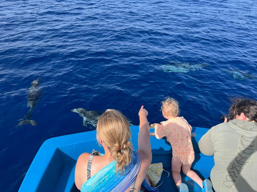 Pizzo: Fishing, Snorkeling, Dolphin Watching - Fishing with the skipper’s help