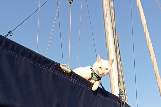 Plemmirio Sailing Tour from Ortigia with Snorkeling - Following the Maddalena peninsula toward Plemmirio