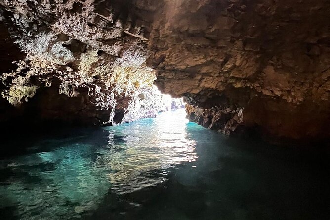 Polignano a Mare luxury boat tour, aperitif, diving and snorkeling - The guide and the tone on board