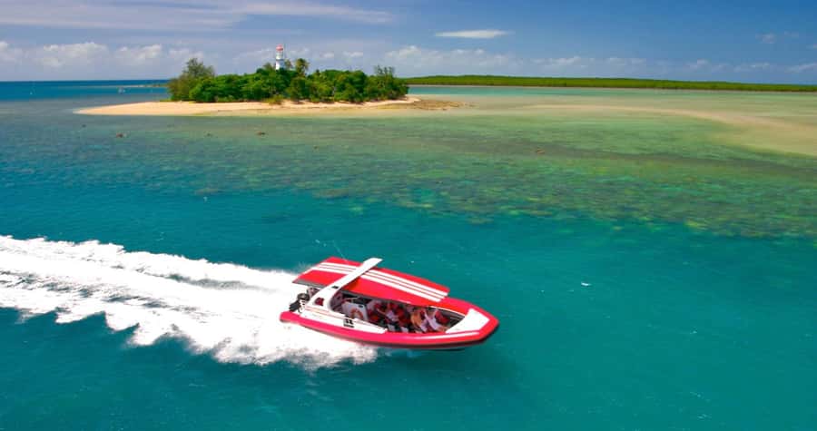 Port Douglas: Half-Day Low Island and Lagoon Snorkeling Tour - A quick trip from Port Douglas to Low Island