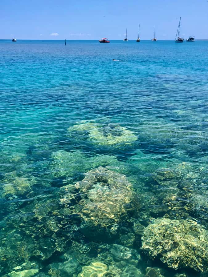 Port Douglas: Half-Day Low Island and Lagoon Snorkeling Tour - Arriving by glass-bottom boat