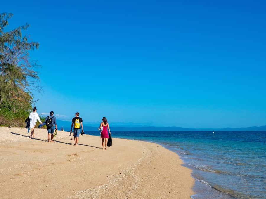 Port Douglas: Low Isles Glass Bottom Boat & Snorkeling Tour - Why Low Isles makes a good reef introduction