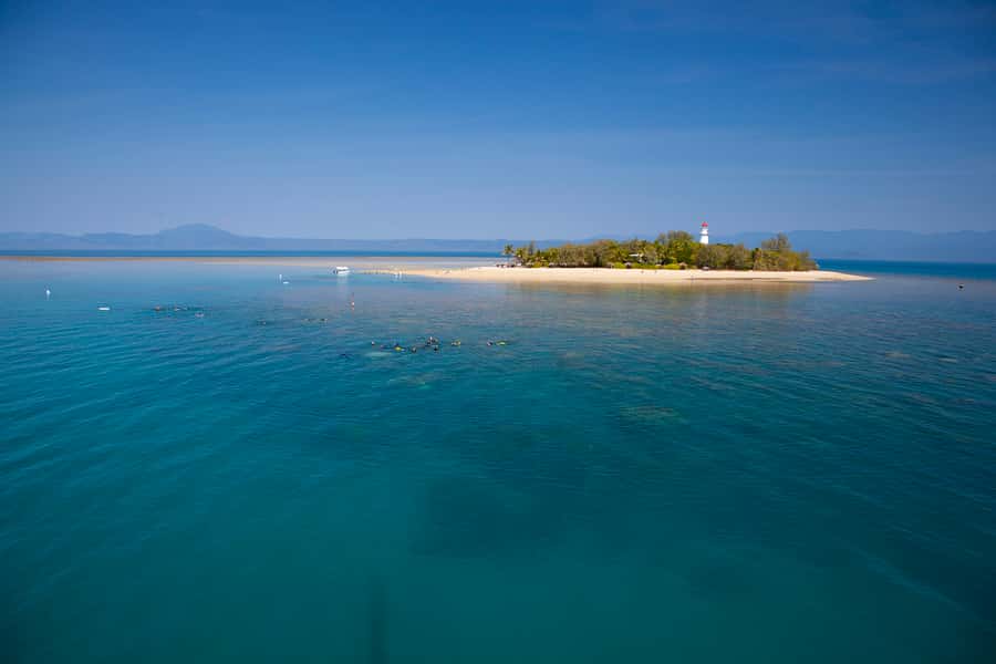 Port Douglas: Low Isles Glass Bottom Boat & Snorkeling Tour - Snorkeling the sheltered Low Isles lagoon