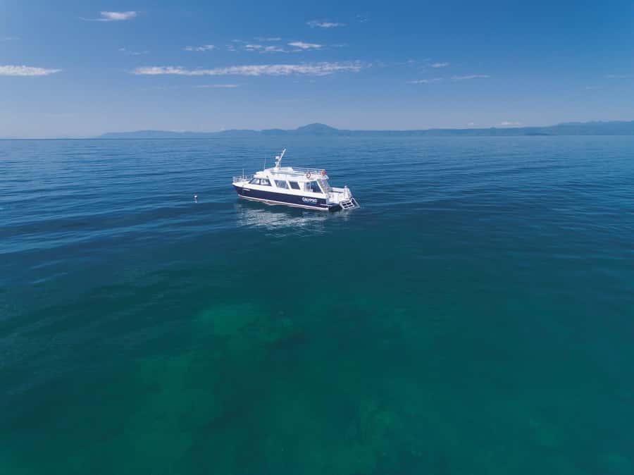 Port Douglas: Low Isles Glass Bottom Boat & Snorkeling Tour - What to bring and what to leave behind