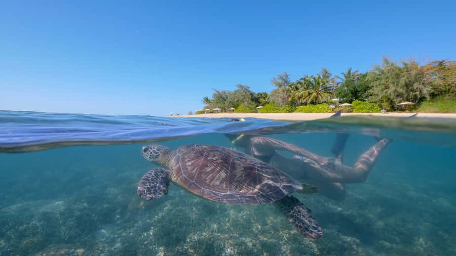 Port Douglas: Low Isles Glass Bottom Boat & Snorkeling Tour - Leaving Port Douglas on the Calypso XI