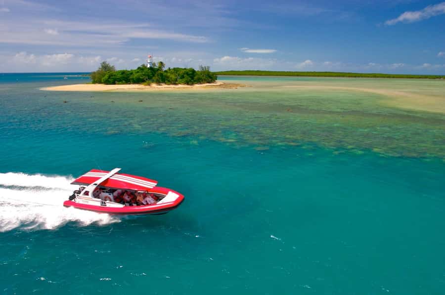 Port Douglas: Low Isles Reef Snorkeling Tour - Low Isles Reef Snorkeling Tour at a Glance