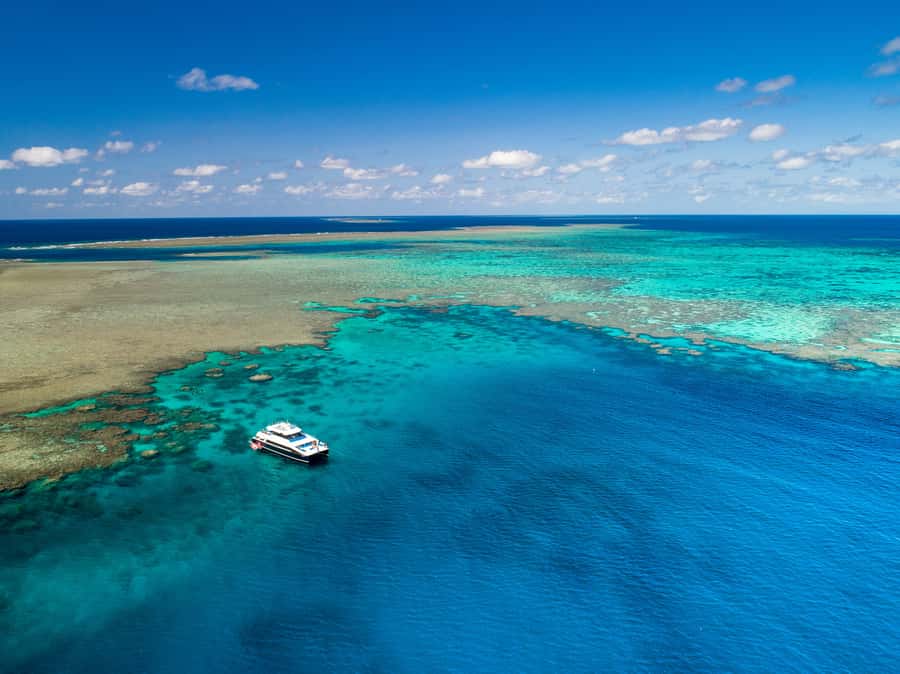 Port Douglas: Outer Barrier Reef Snorkel and Dive Options - From Port Douglas to the outer reef