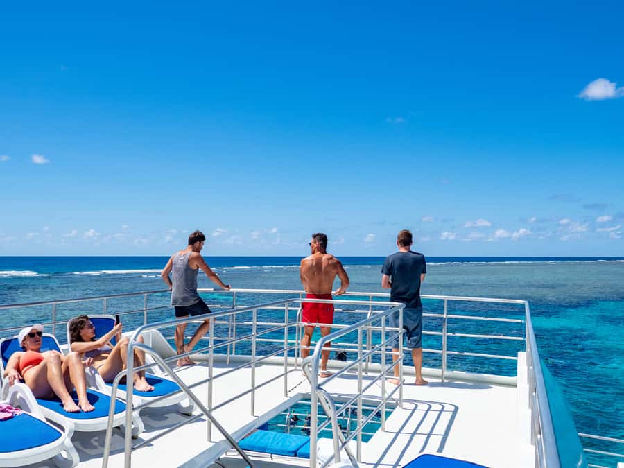 Port Douglas: Outer Barrier Reef Snorkel and Dive Options - The third site keeps the day flexible