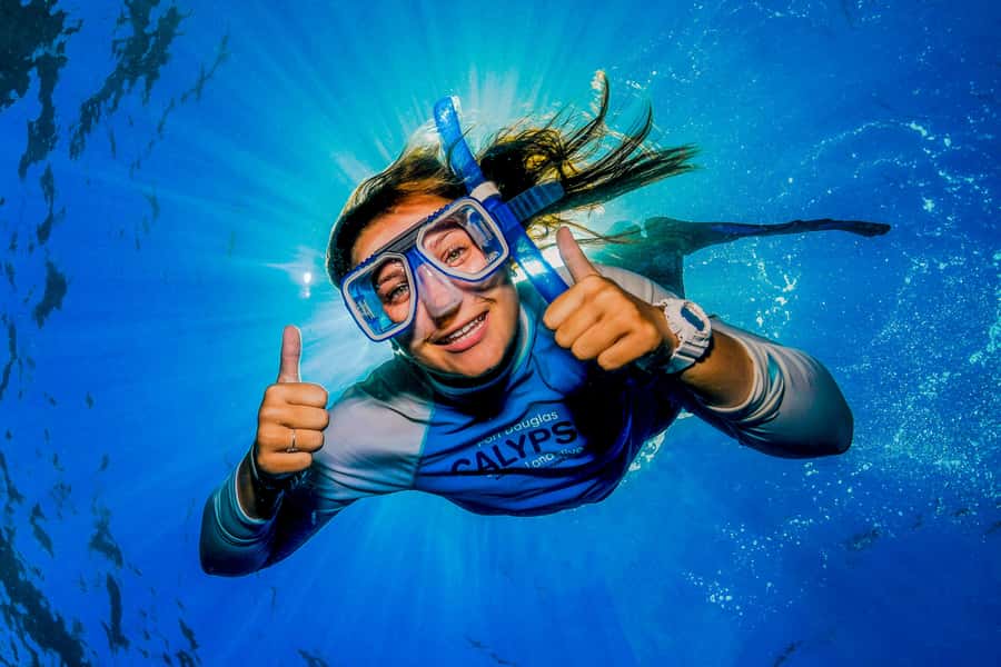 Port Douglas: Outer Barrier Reef Snorkel and Dive Options - What makes the reef encounters special