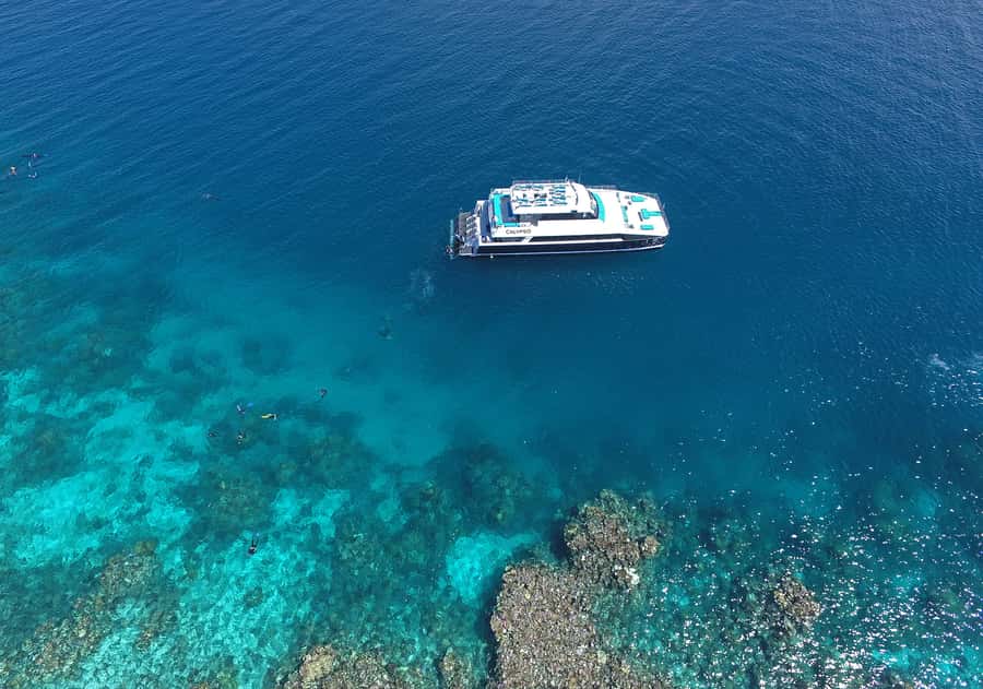 Port Douglas: Outer Barrier Reef Snorkel and Dive Options - Is $174 a fair price?