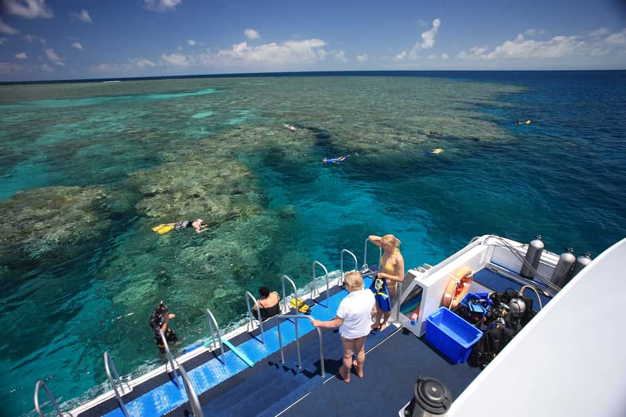 Port Douglas: Outer Barrier Reef Snorkel and Dive Options - Should you book it?
