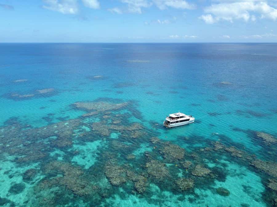 Port Douglas: Outer Great Barrier Reef Snorkeling Cruise - Quick take: what makes this cruise different