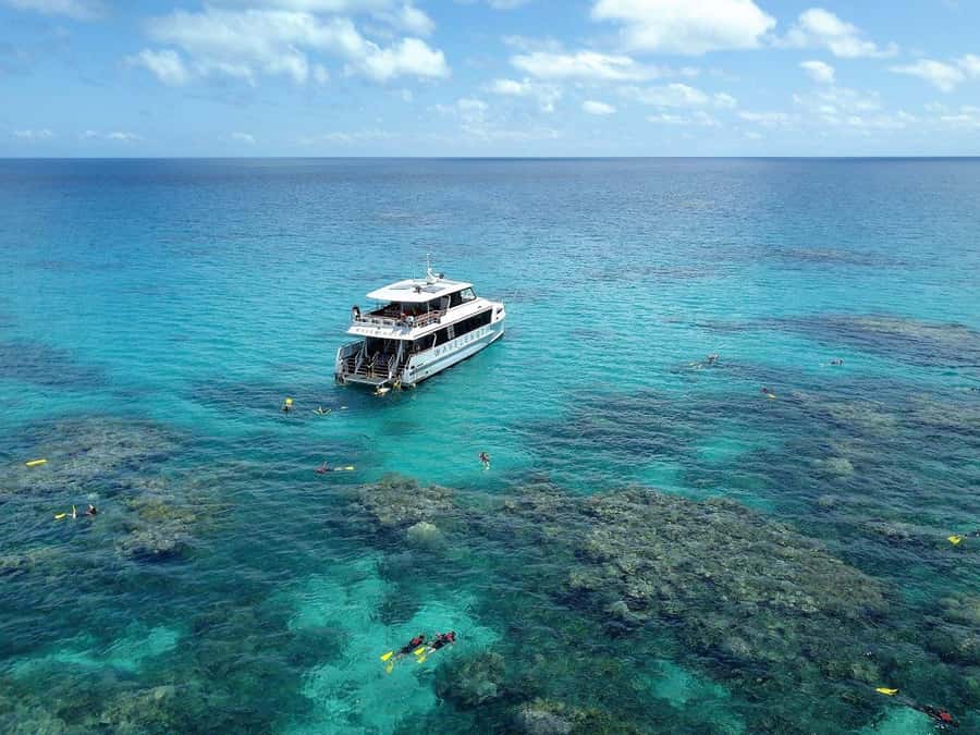Port Douglas: Outer Great Barrier Reef Snorkeling Cruise - The second site adds guided detail