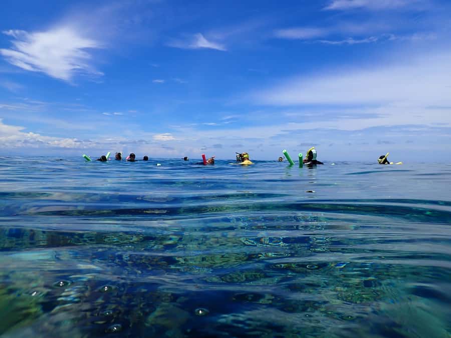 Port Douglas: Outer Great Barrier Reef Snorkeling Cruise - The third site and the free photographs