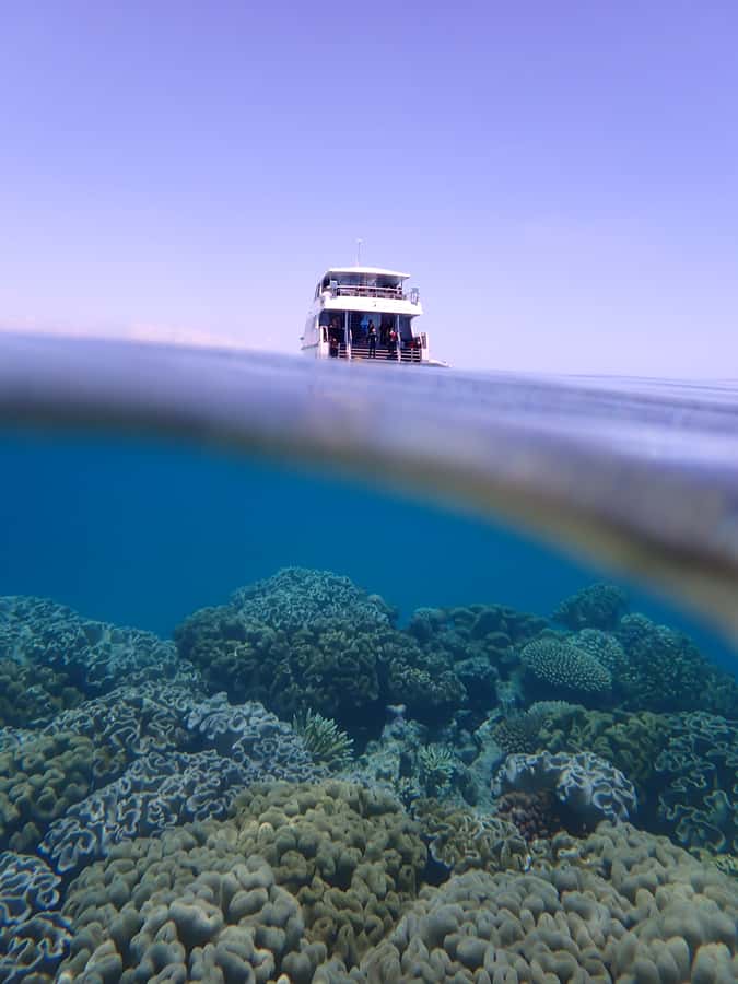 Port Douglas: Outer Great Barrier Reef Snorkeling Cruise - How the $210 price measures up