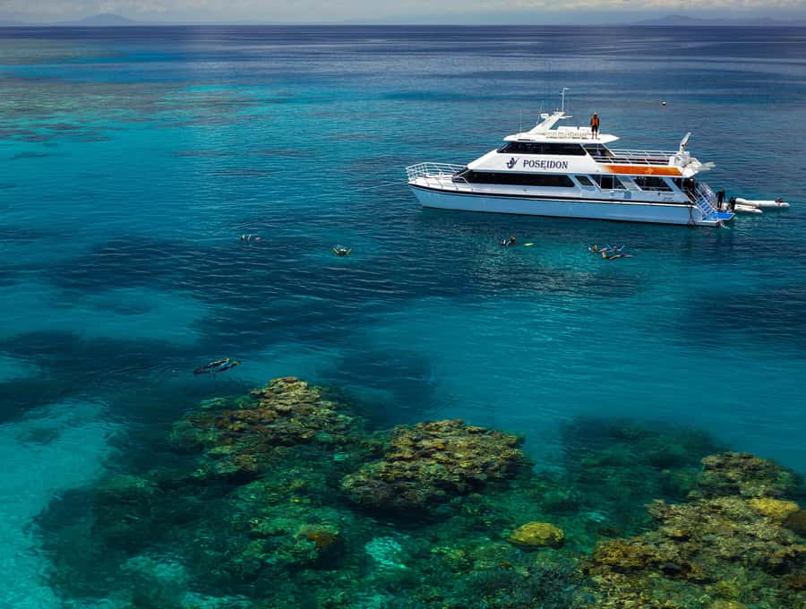 Port Douglas: Poseidon Outer Barrier Reef Dive and Snorkel - Second reef stop: more time for coral and marine life