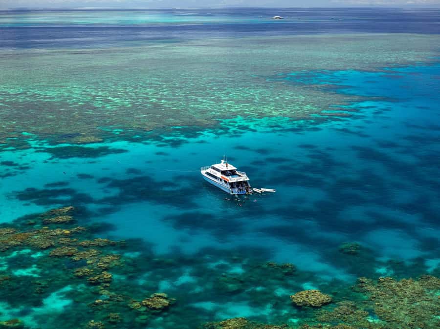 Port Douglas: Poseidon Outer Barrier Reef Dive and Snorkel - Who should book this experience