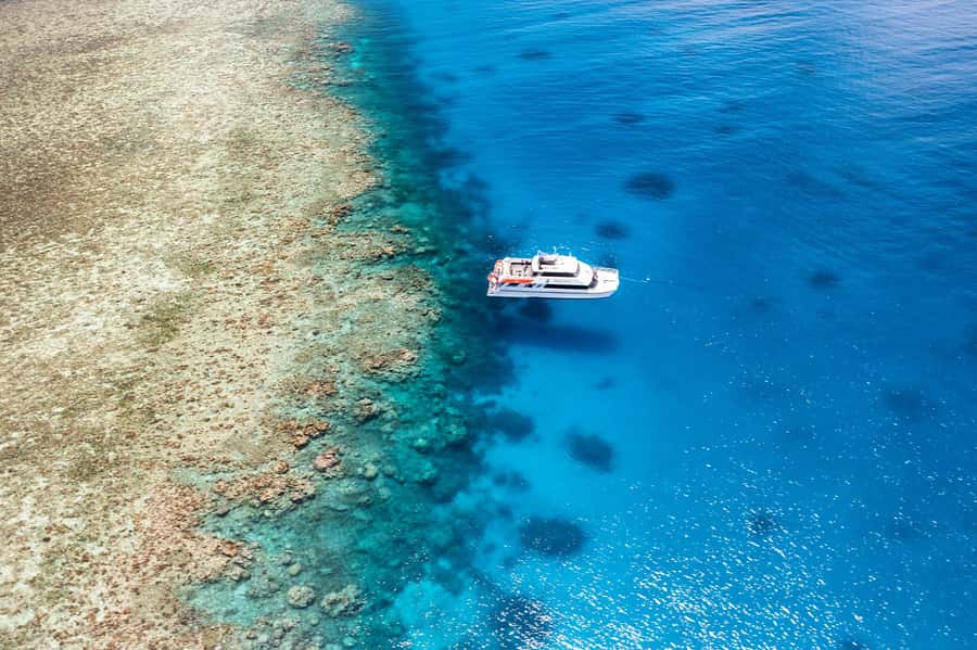 Port Douglas: Poseidon Outer Barrier Reef Dive and Snorkel - What the eight-hour day feels like