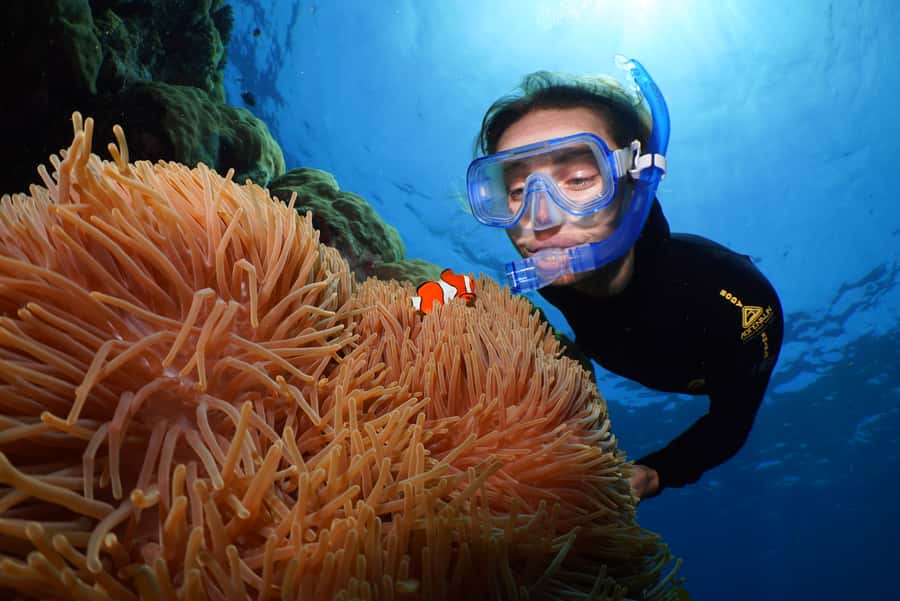 Port Douglas: Silversonic Great Barrier Reef Dive & Snorkel - The 90-minute cruise aboard Silversonic
