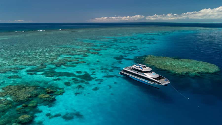 Port Douglas: Silversonic Great Barrier Reef Dive & Snorkel - The 7:45 AM start at Crystalbrook Marina