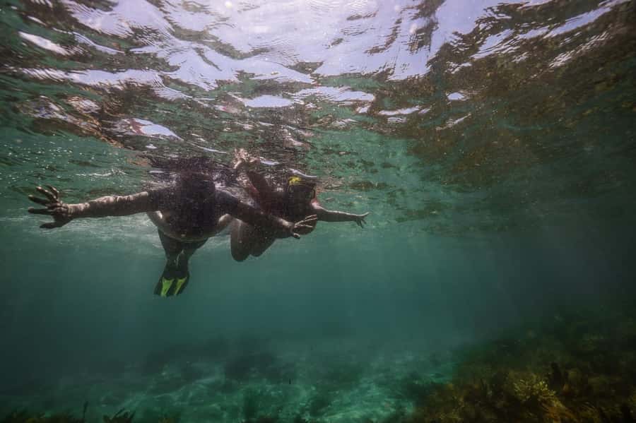 Port Stephens: Port Stephens Island Snorkel Adventure Cruise - A fast start from Nelson Bay on Envision