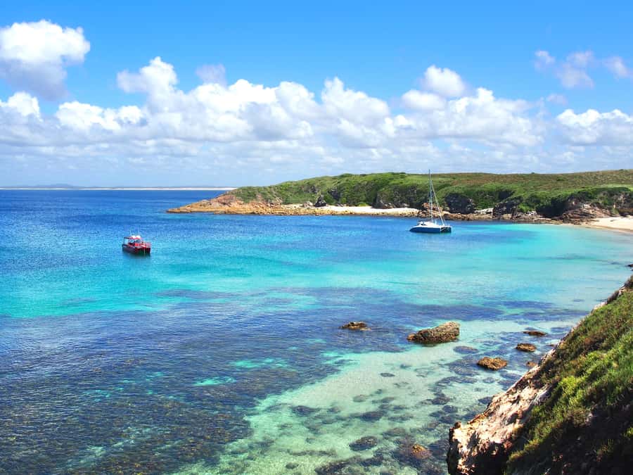 Port Stephens: Port Stephens Island Snorkel Adventure Cruise - What the three-hour schedule feels like