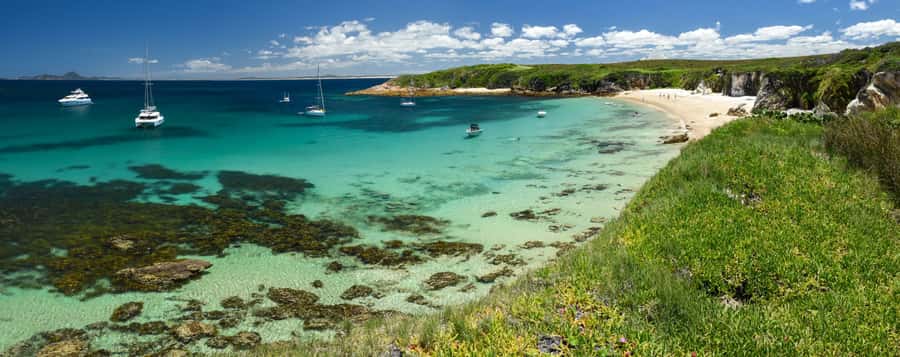Port Stephens: Port Stephens Island Snorkel Adventure Cruise - What to bring and how to prepare