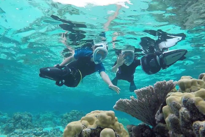 Premium Catamaran Afternoon Sail: Snorkeling and Lunch - Starting at Palm Beach with a short boat transfer