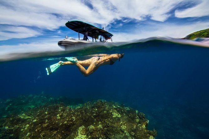 Premium Kona Coast Morning Snorkel - Along the Southern Kona Coast