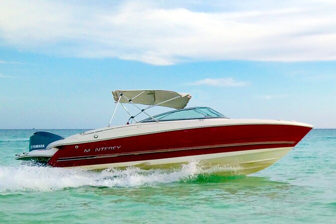 PRIVATE! | 4-hour Speed Boat Trip | Swim With Dolphins, Snorkeling & Island - Omo Gamaar: a second chance for reef life