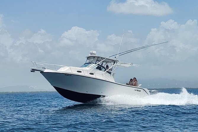 Private All Inclusive East Coast Keys Tour and Snorkel Experience - Snorkeling without pressure